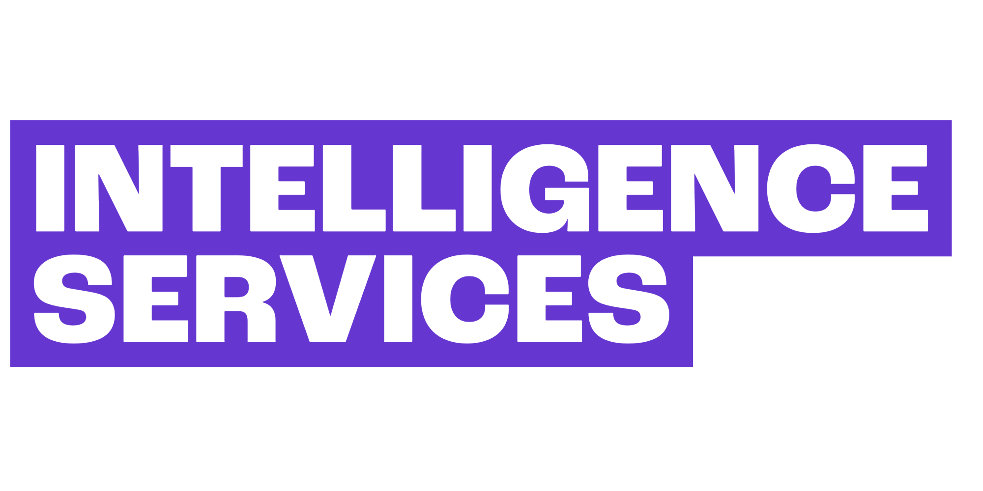 Intelligence Services